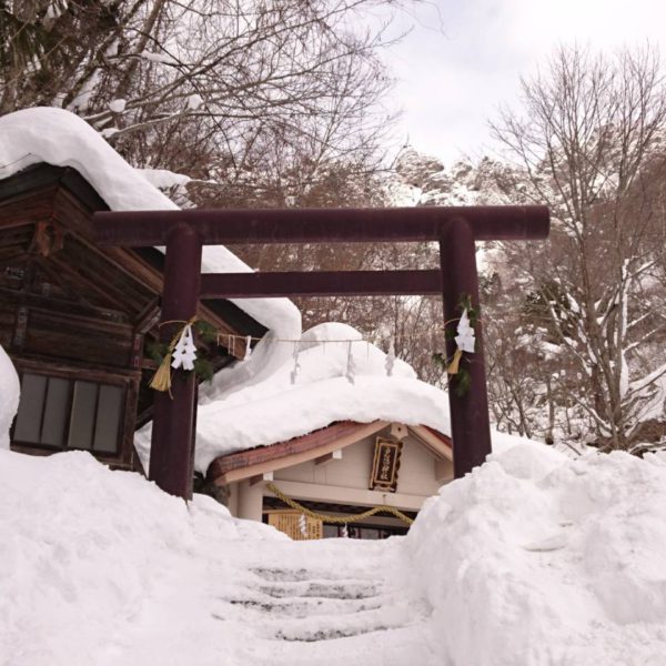 会社の発展を願って新年戸隠神社へ参拝