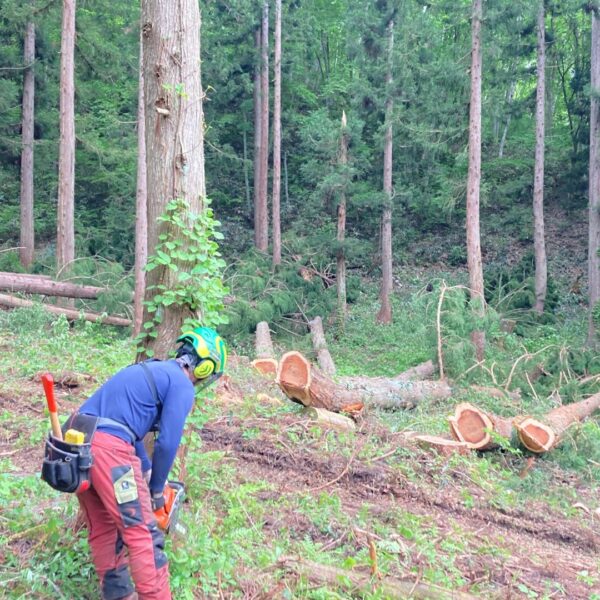 寿司屋の大将はネタの産地を知っているが・・・。