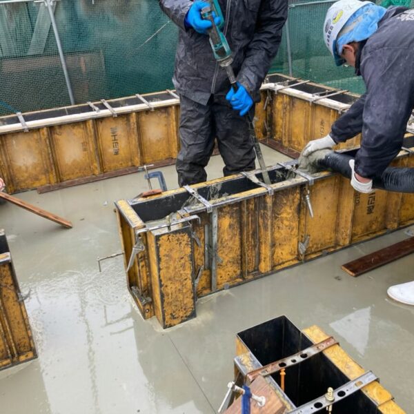 【長野市】本と和室　心に余白が生まれる家