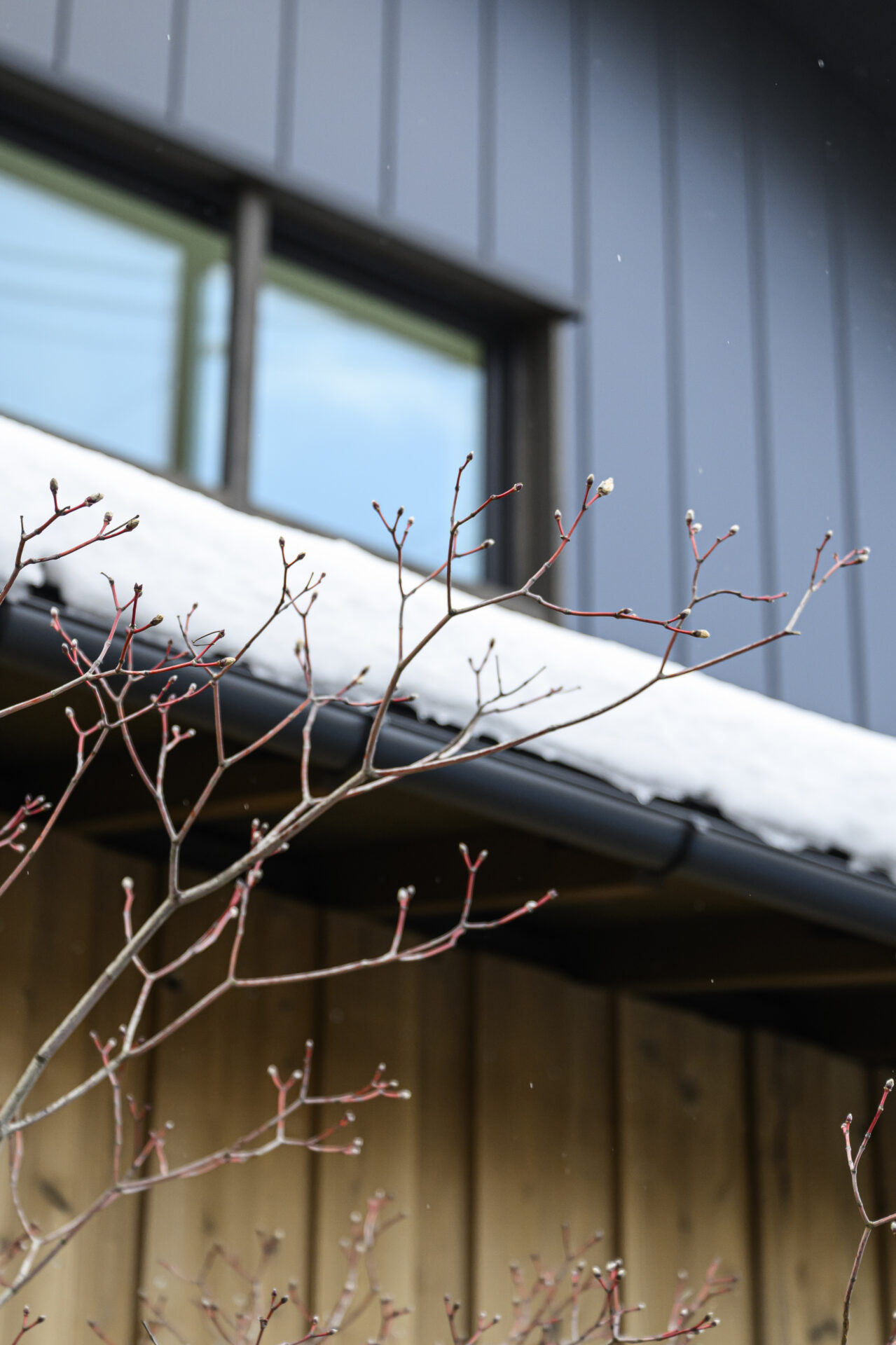 風景と暮らす家の写真