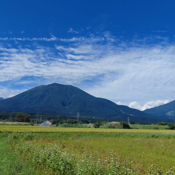 ずっと眺めていたい風景