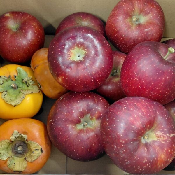 食欲の秋、到来！